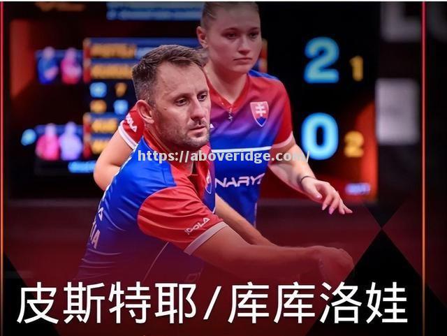 南宫娱乐-斯洛伐克队客场失利，遭遇一场挫折